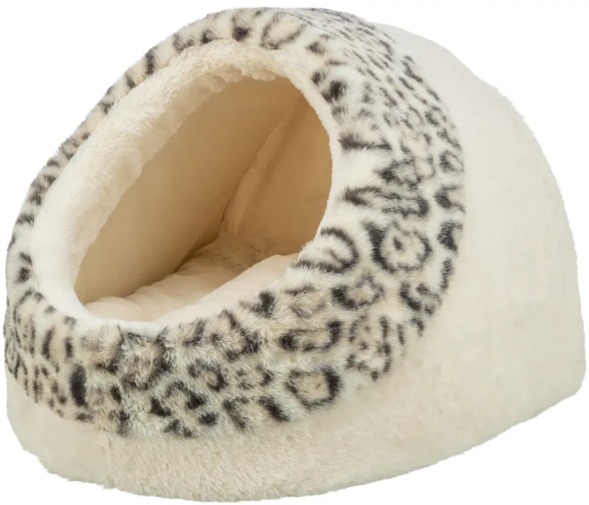 Höhle Leo